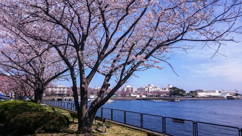 Que visitez à Yokosuka Japon ? | Saji Marina Hotel